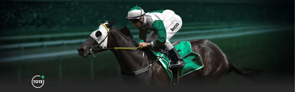 科林,贝尔被任命,为中国,亚博体育,Yabo,Sports,亚博体育官网,亚博体育官网,亚博体育下载,亚博体育APP